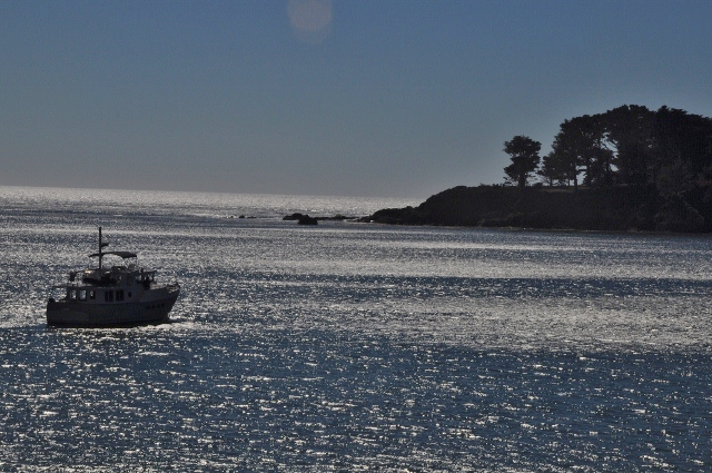 Wm R. Hearst Memorial State Park, San Simeon